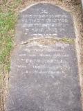 image of grave number 56559